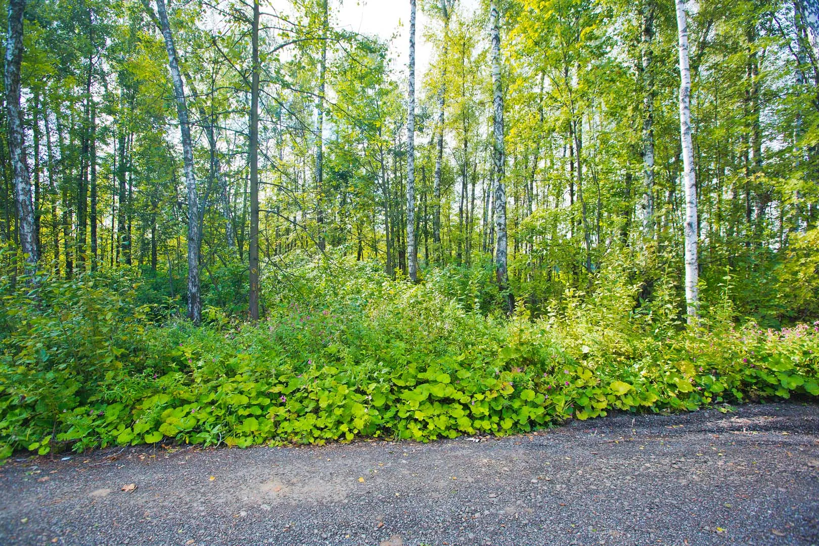 Коттеджный посёлок «Иллюзион»