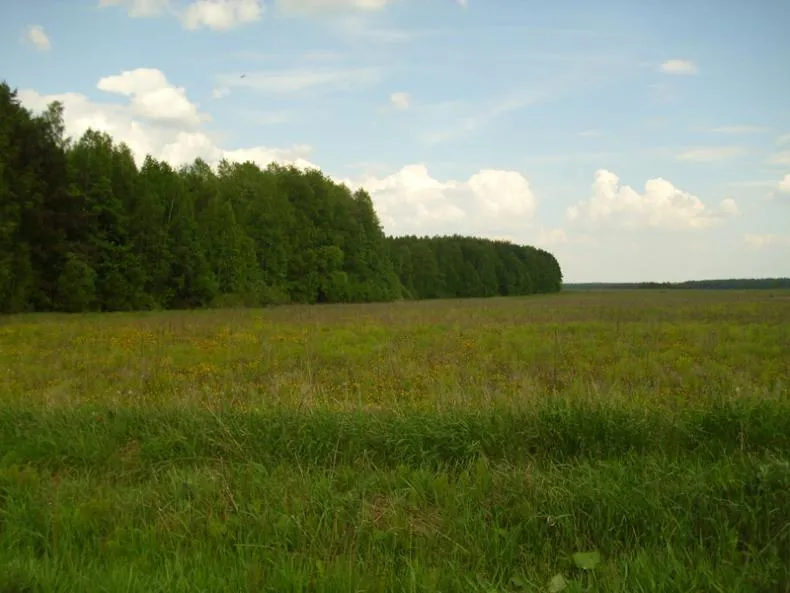 Коттеджный посёлок «Елизарово-Park (Елизарово-Парк)»