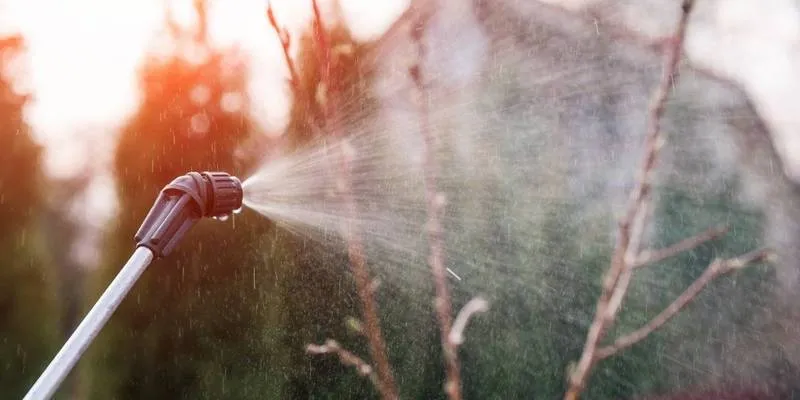 Как избавиться от тли на огороде и в саду