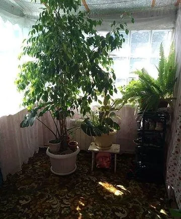 Дом, 4 кв.м на участке 50 сот