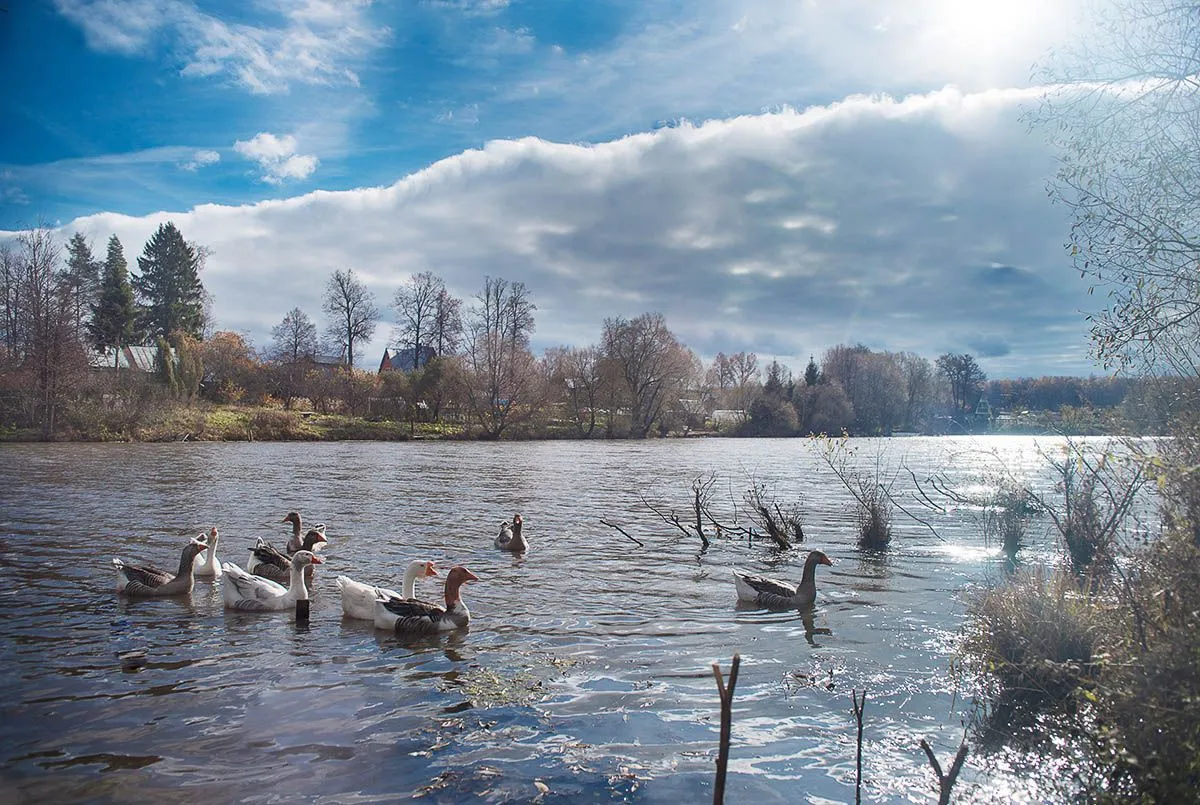 Коттеджный посёлок «Усадьба Романцево»