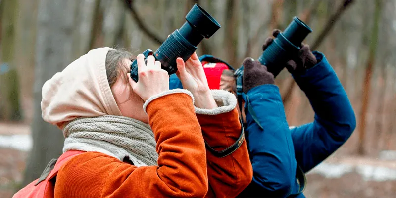 Кубок столицы по спортивной орнитологии «Весна-2026» в Царицыно 18 апреля | Регистрация и номинации