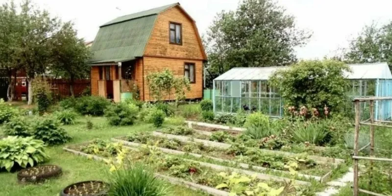 С 1 сентября дачникам запретят зарабатывать на своих участках