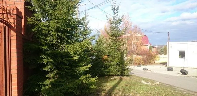 Дом, 280 кв.м на участке 9.8 сот