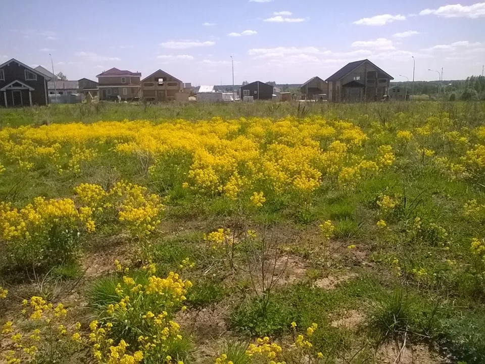 Коттеджный посёлок «Троица»