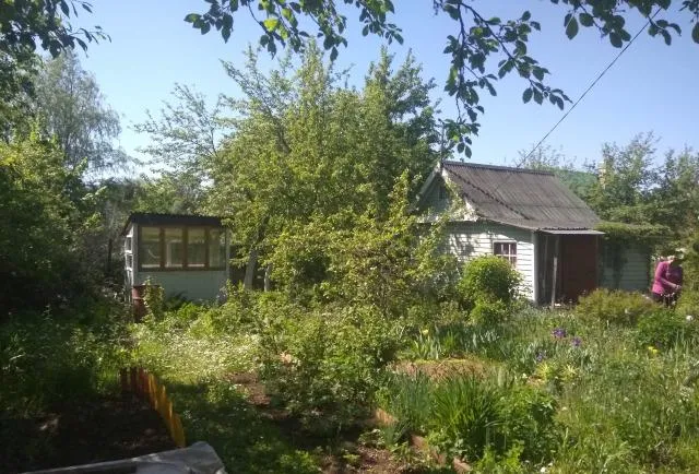 Участок 6 сот