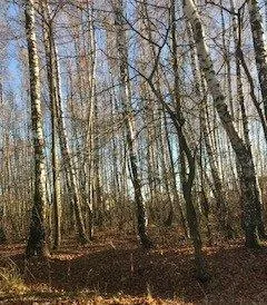 Участок 4 сот