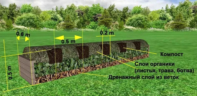Теплые грядки