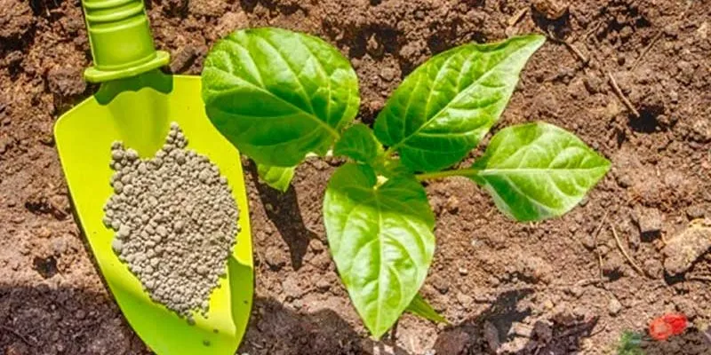 Использование удобрений.jpg