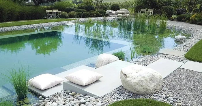 Пруд на даче.jpg