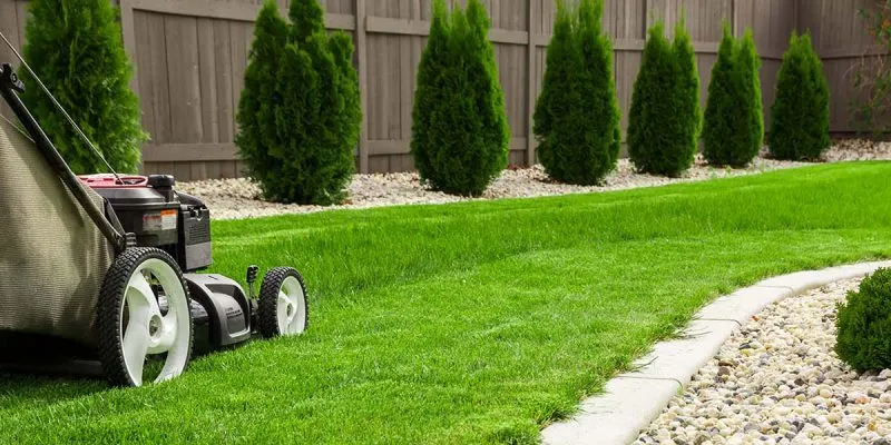 Обработка газона к началу дачного сезона.jpg