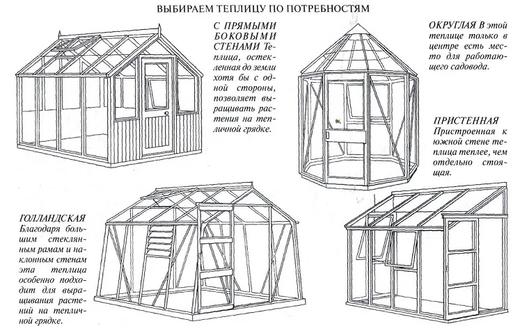 Какие бывают теплицы