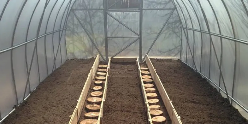 Очистка и уборка теплиц.jpg