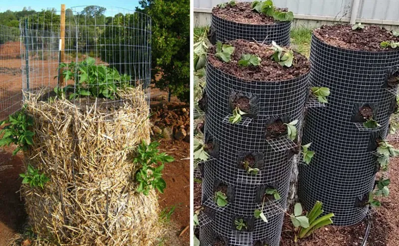 Вертикальные грядки