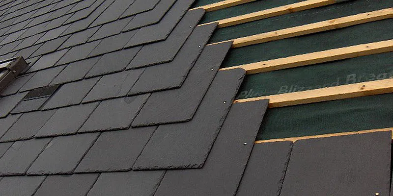 Сланецевая кроавля.jpg