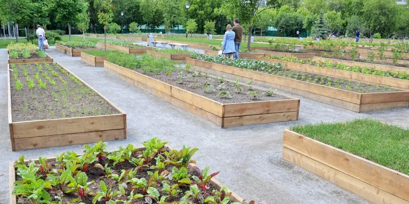 Грядки с бортиками.jpg