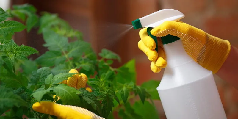 Какие препараты убивают тлю.jpg