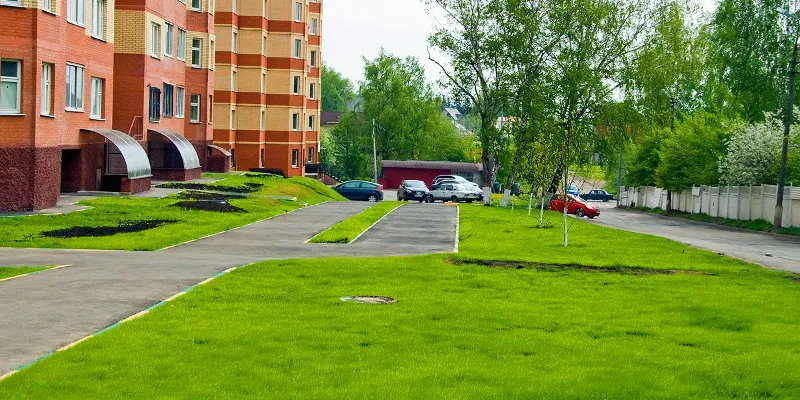 Придомовая территория.jpg