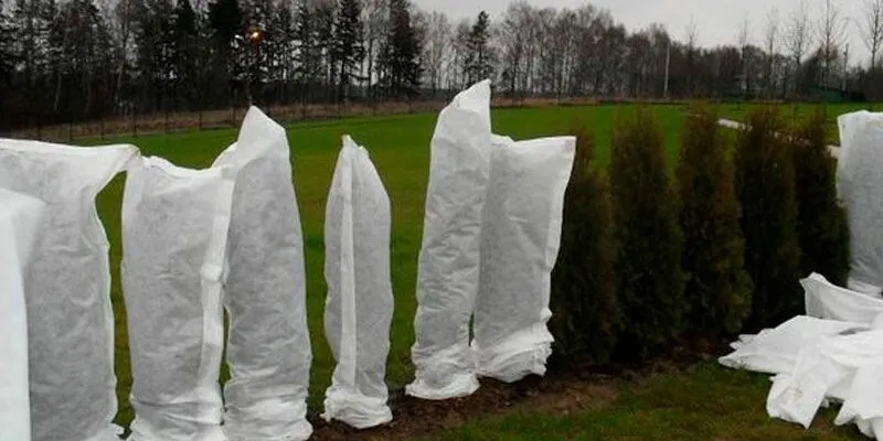 Укрытия на деревьях.jpg