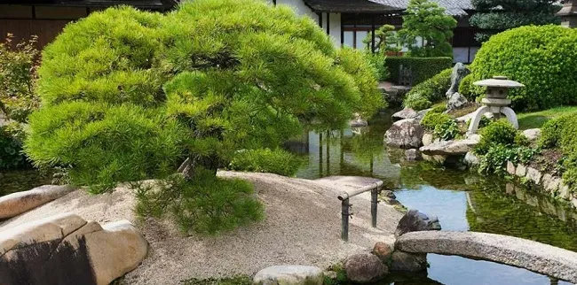 Японский стиль в ландшафтном дизайне