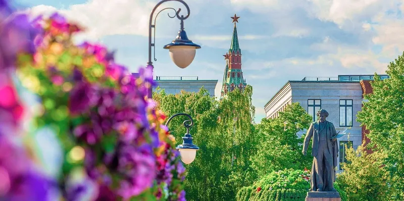 Лучшие виды