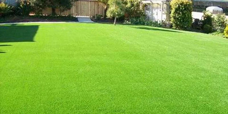 Посев газона.jpg Посев газона.jpg