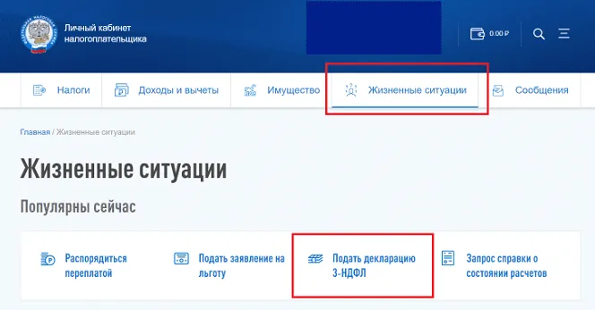 Подать декларацию