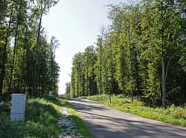 Коттеджный посёлок «Лесное озеро»