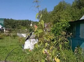 Дом, 45 кв.м на участке 6 сот