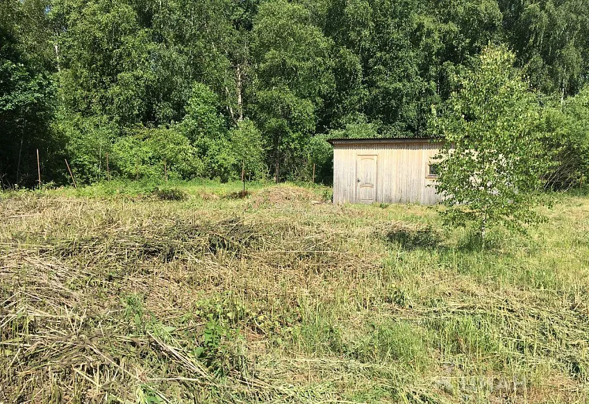 Участок 12 сот