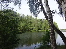 Коттеджный посёлок «Берёзки Вилладж»