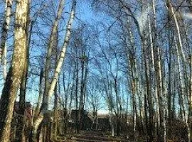 Участок 4 сот