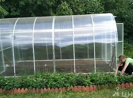 Дом, 66.1 кв.м на участке 10.31 сот