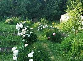 Дом, 66.1 кв.м на участке 10.31 сот