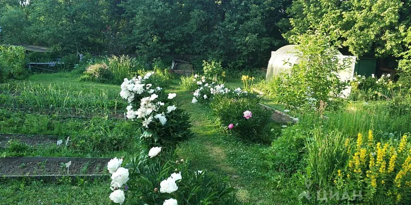 Дом, 66.1 кв.м на участке 10.31 сот