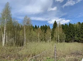 Участок 6 сот