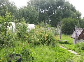 Участок 12 сот