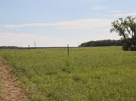 Коттеджный посёлок «Сиеста Южная»