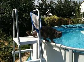 Дом, 75 кв.м на участке 12 сот