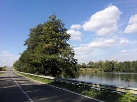 Коттеджный посёлок «Берёзки Вилладж»