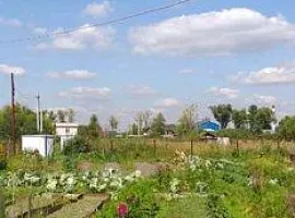 Участок 7.7 сот