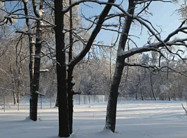 Коттеджный посёлок «Николино Парк»