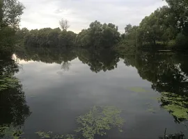 Коттеджный посёлок «Ширяевские Усадьбы»