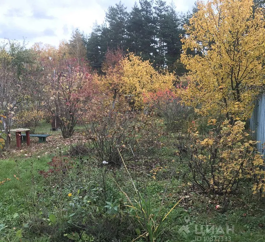 Участок 12 сот