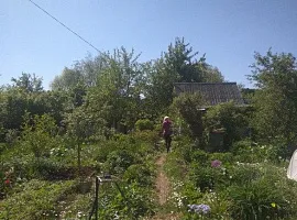 Участок 6 сот