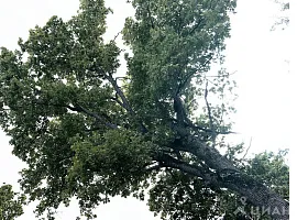 Дом, 508 кв.м на участке 17.3 сот