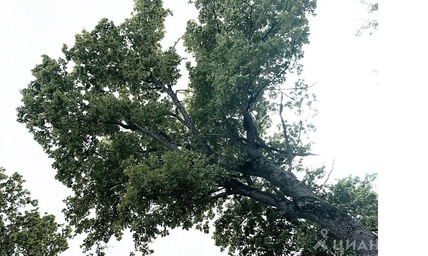 Дом, 508 кв.м на участке 17.3 сот