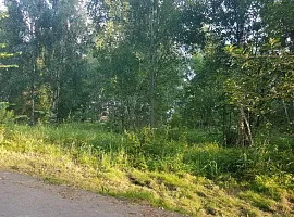 Участок 13 сот