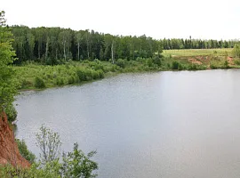 Коттеджный посёлок «Сиеста Южная»