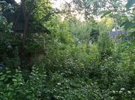 Дом, 55 кв.м на участке 7 сот